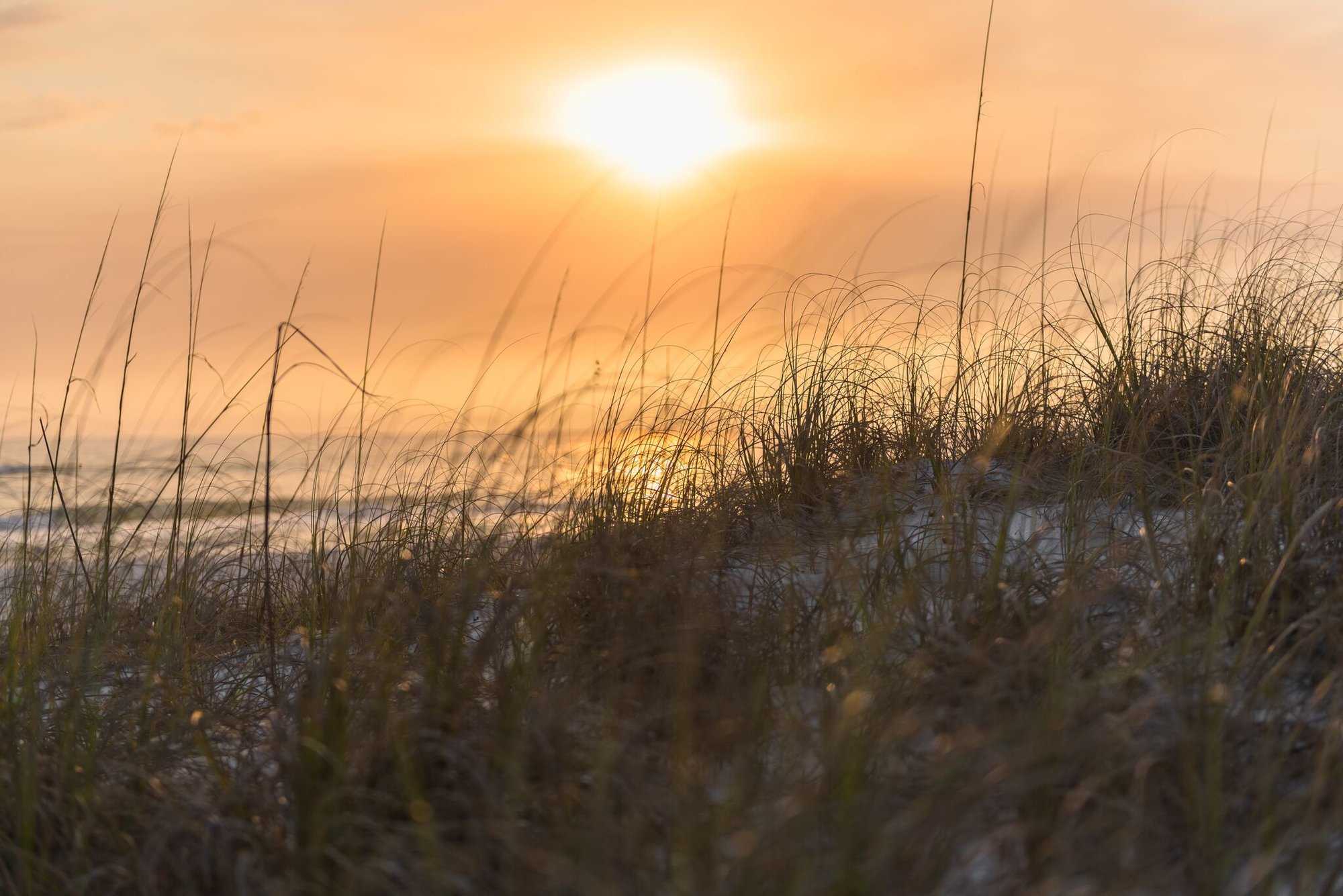 Miramar Beach Real Estate