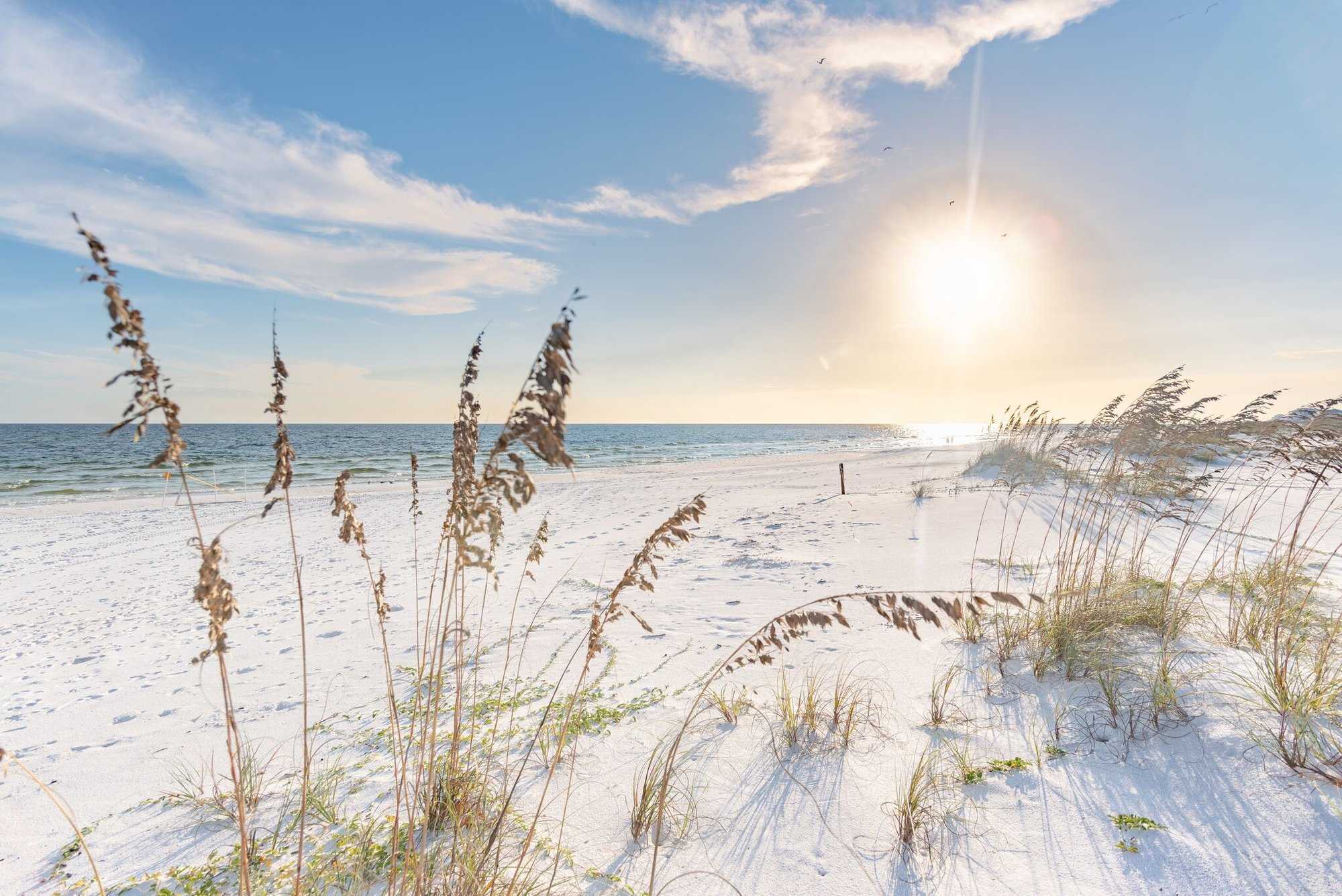Santa Rosa Beach Real Estate